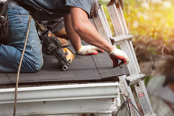 Professional Roofing Contractor in Wildwood, TN