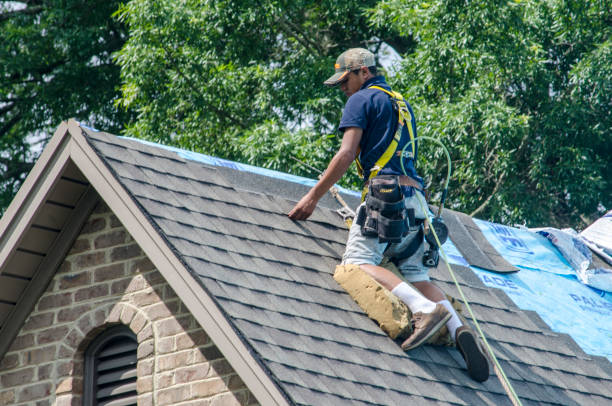 Best Metal Roofing Contractor  in Wildwood, TN